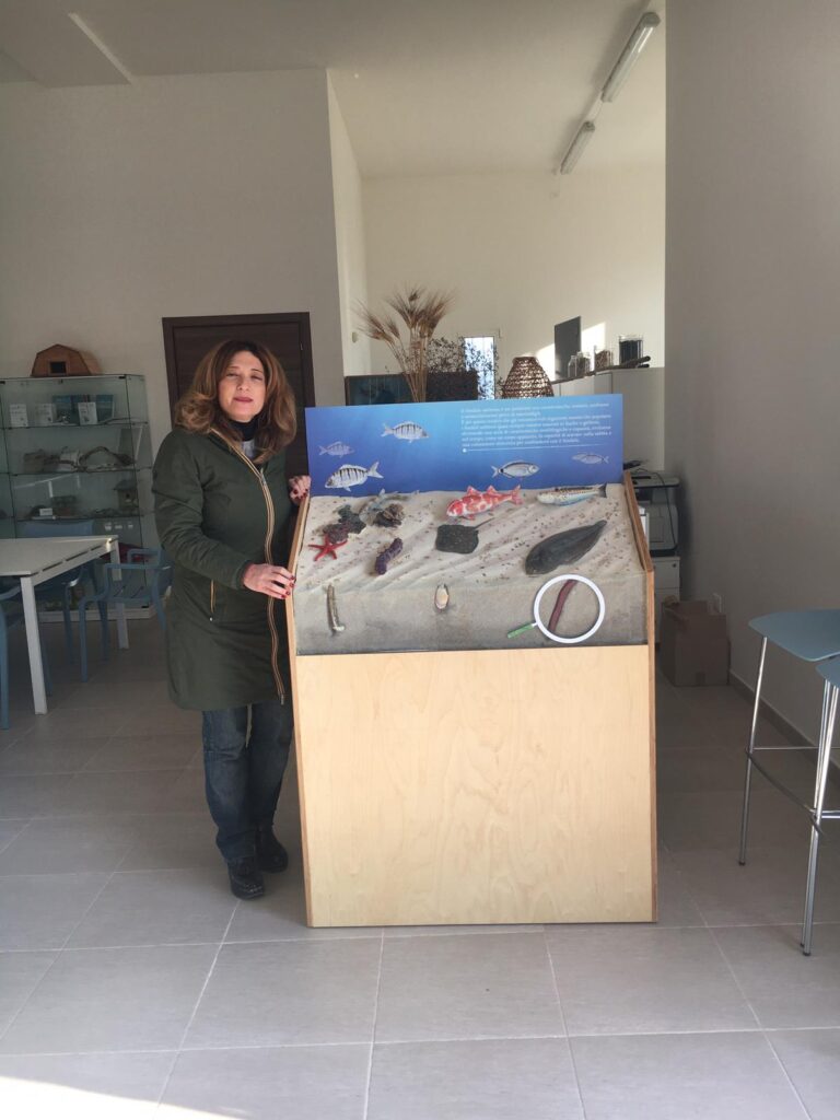 Progetto 'MYSEA': osservatorio sui mari di Puglia per la tutela della caretta caretta - Osservatorio Fasano