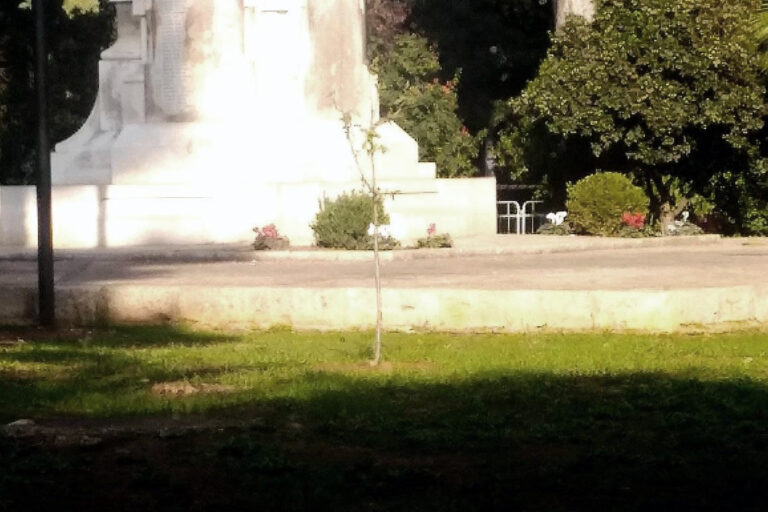 Torna ‘Nespolino’ nella Villa comunale Torna 'Nespolino' nella Villa comunale - Osservatorio Fasano