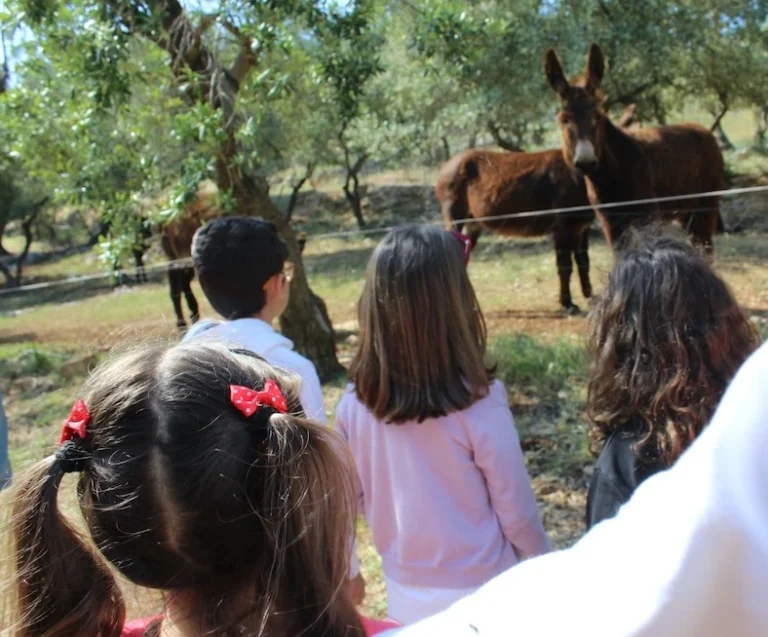 “O-maggio all’infanzia” 2025: Bambini a contatto con la natura” “O-maggio all’infanzia” 2025: Bambini a contatto con la natura” - Osservatorio Fasano
