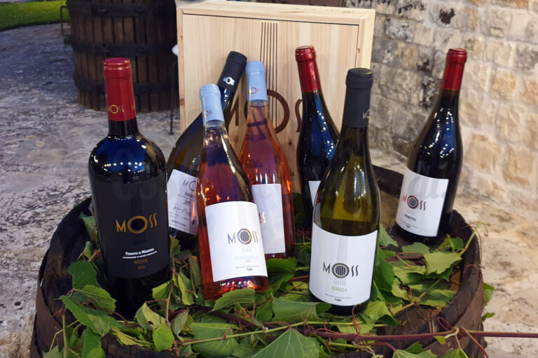 Presentati i vini delle Cantine Moss Wine Presentati i vini delle Cantine Moss Wine - Osservatorio Fasano
