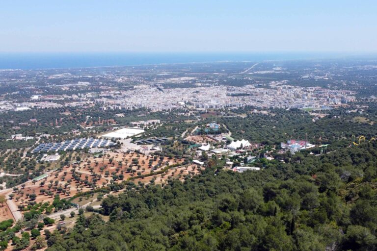 Turismo, Fasano al quinto posto per gli arrivi e al quarto per le presenze nei primi dieci mesi del 2022 Turismo, Fasano al quinto posto per gli arrivi e al quarto per le presenze nei primi dieci mesi del 2022 - Osservatorio Fasano