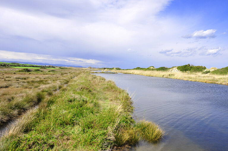 Dino Cofano scrive al Sindaco di Ostuni: non ho alcun titolo ad operare come componente della Giunta Esecutiva - Osservatorio Fasano
