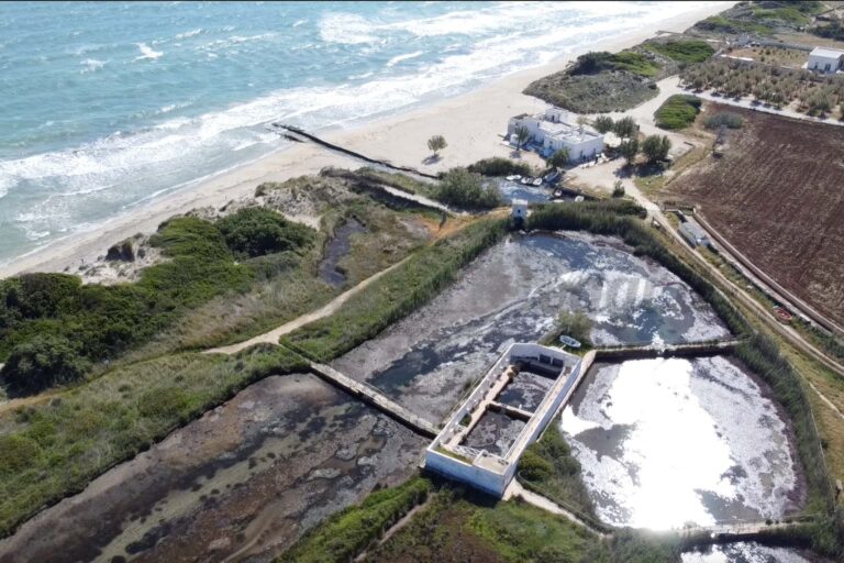 Colucci: 'Il parco distrutto dalla mala politica locale' - Osservatorio Fasano