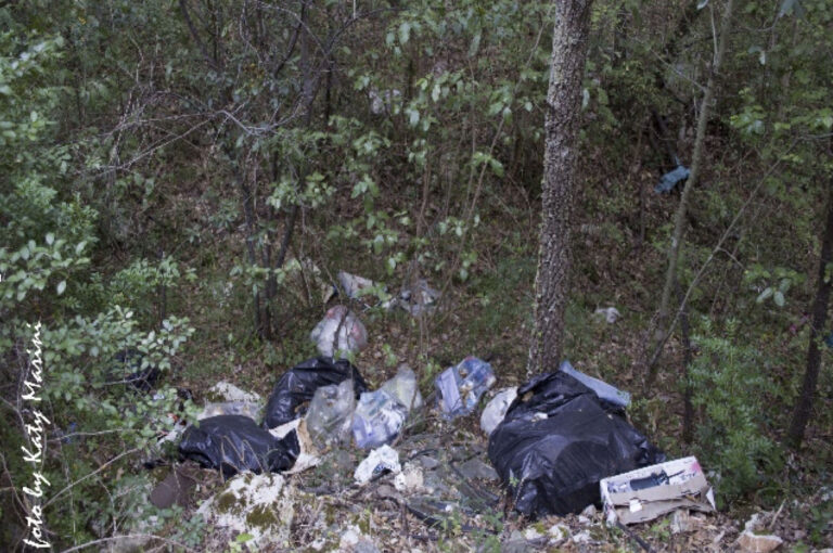 Europa Verde Fasano chiede un maggiore sforzo a tutti per combattere l'abbandono rifiuti - Osservatorio Fasano