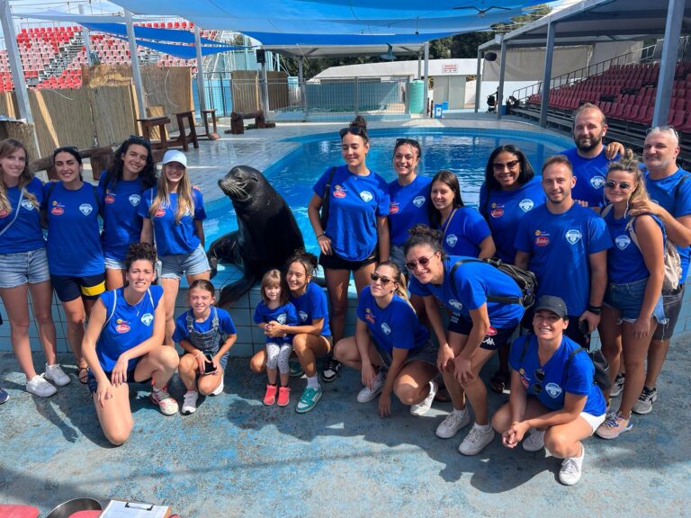 La Pantaleo Il Podio Volley Fasano si ritrova allo Zoosafari di Fasano La Pantaleo Il Podio Volley Fasano si ritrova allo Zoosafari di Fasano - Osservatorio Fasano