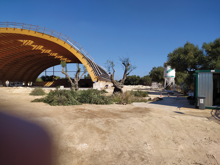 Avviate le operazioni per spostare sette alberi di ulivo a Vigna Marina Avviate le operazioni per spostare sette alberi di ulivo a Vigna Marina - Osservatorio Fasano