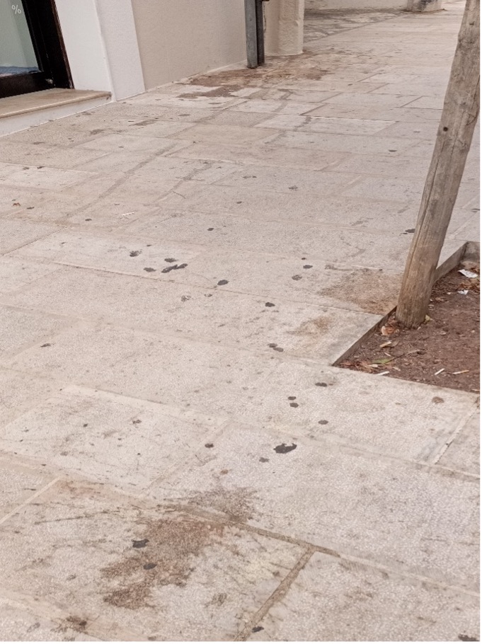 Il Centro Storico di Fasano chiede pulizia profonda - Osservatorio Fasano