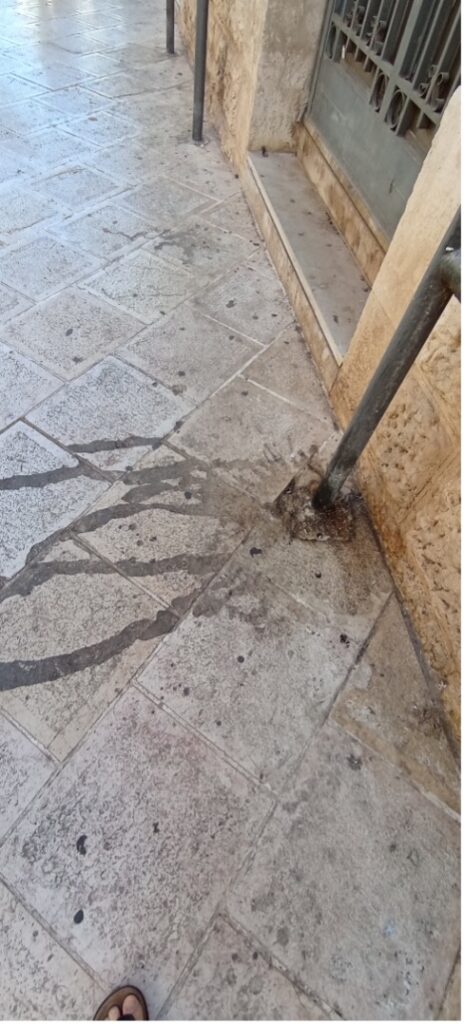 Il Centro Storico di Fasano chiede pulizia profonda - Osservatorio Fasano