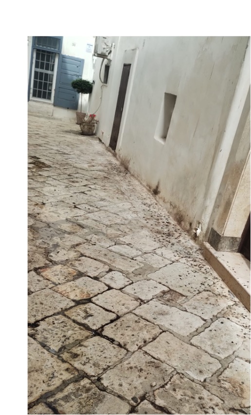 Il Centro Storico di Fasano chiede pulizia profonda - Osservatorio Fasano