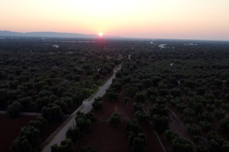 La Via Francigena del Sud vista dagli studenti del Salvemini – VIDEO La Via Francigena del Sud vista dagli studenti del Salvemini - VIDEO - Osservatorio Fasano