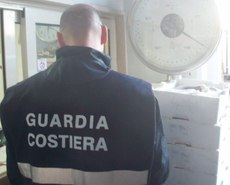 Controlli della Capitaneria di Porto sulla filiera della pesca nel Brindisino Controlli della Capitaneria di Porto sulla filiera della pesca nel Brindisino - Osservatorio Fasano