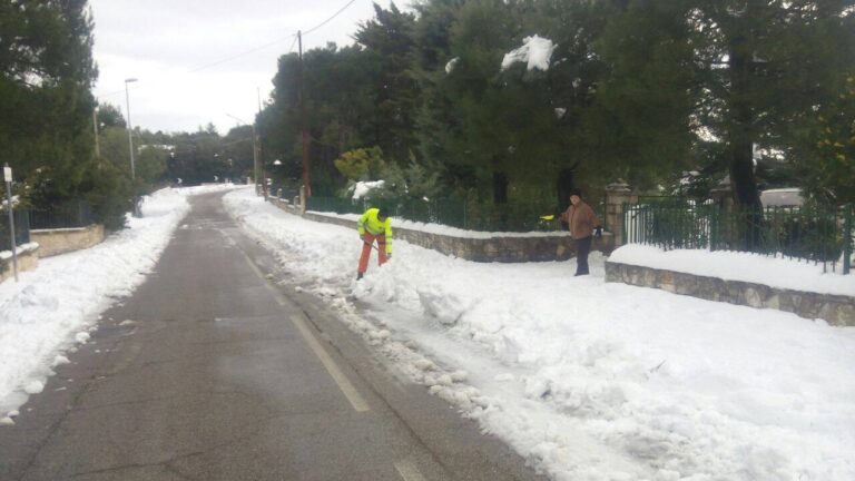 Sul territorio di Fasano finita l’emergenza ma non il lavoro dei volontari Sul territorio di Fasano finita l'emergenza ma non il lavoro dei volontari - Osservatorio Fasano
