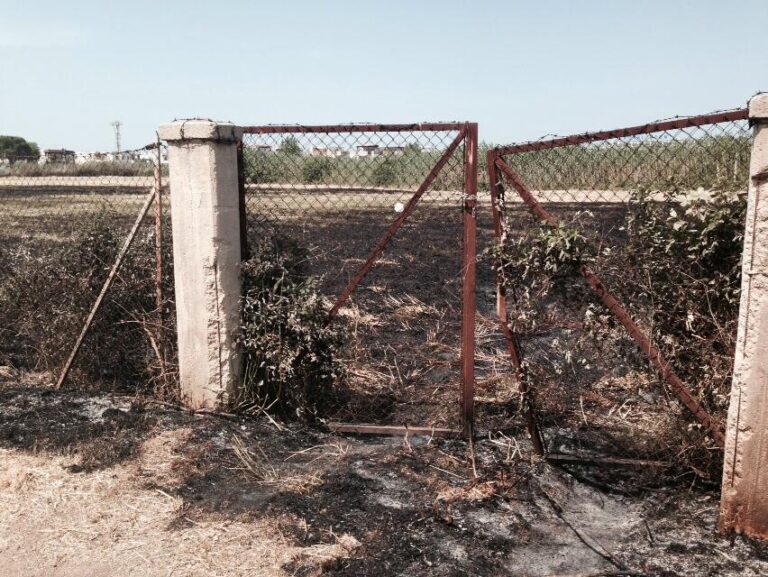 Incendio alle porte di Torre Canne: disagi a causa del fumo - Osservatorio Fasano
