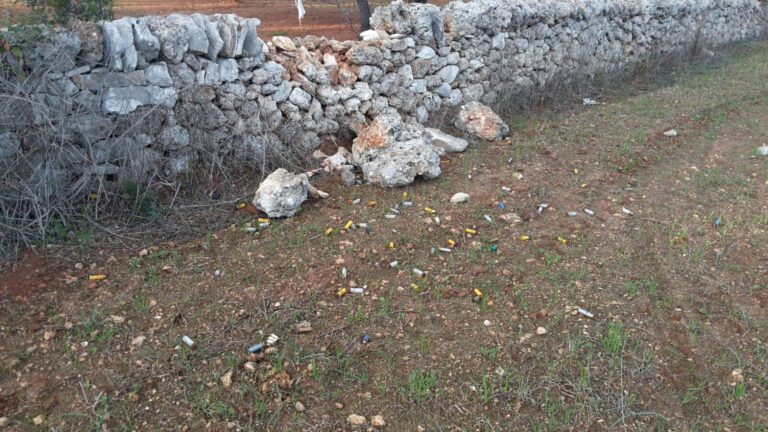 Cacciatori-vandali distruggono muretti a secco: insorgono i proprietari terrieri Cacciatori-vandali distruggono muretti a secco: insorgono i proprietari terrieri - Osservatorio Fasano