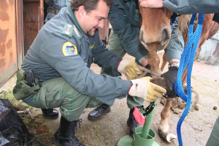 Corso per guardie ecozoofile al Laboratorio Urbano di Fasano - Osservatorio Fasano