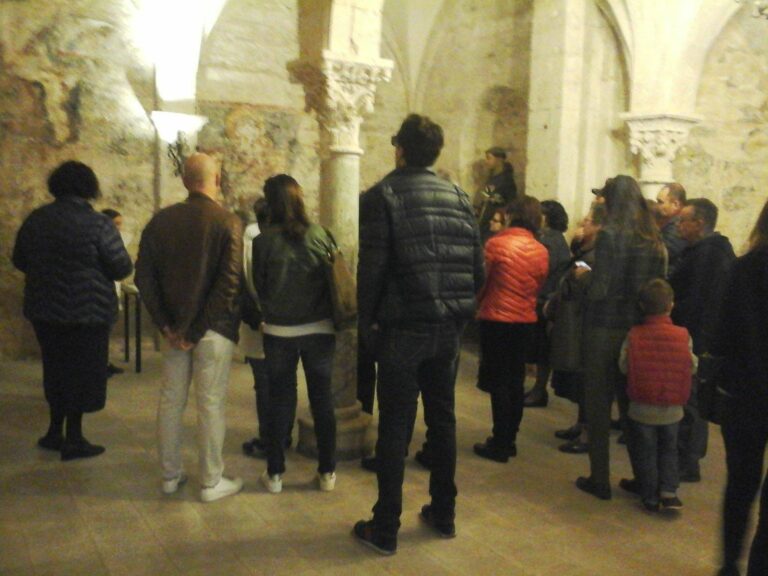 Giornate Fai di Primavara: grande successo anche a Fasano Giornate Fai di Primavara: grande successo anche a Fasano - Osservatorio Fasano