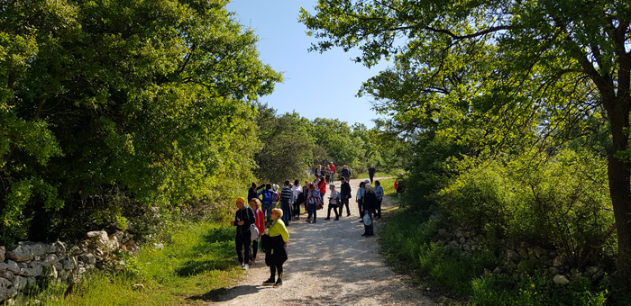 A Cocolicchio una passeggiata ecologica per scoprire la macchia mediterranea A Cocolicchio una passeggiata ecologica per scoprire la macchia mediterranea - Osservatorio Fasano