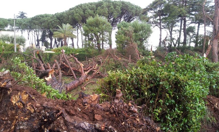 Tromba d’aria alla Selva, notevoli i danni LE FOTO Tromba d'aria alla Selva, notevoli i danni LE FOTO - Osservatorio Fasano