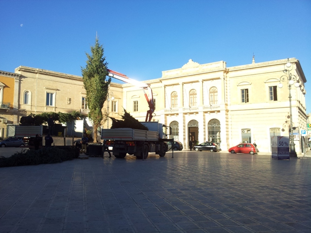 Tempo di natale: ecco il grande albero in piazza Ciaia Tempo di natale: ecco il grande albero in piazza Ciaia - Osservatorio Fasano