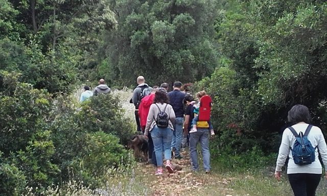 ‘Territorio Zero’ a Fasano: secondo appuntamento con le farfalle 'Territorio Zero' a Fasano: secondo appuntamento con le farfalle - Osservatorio Fasano