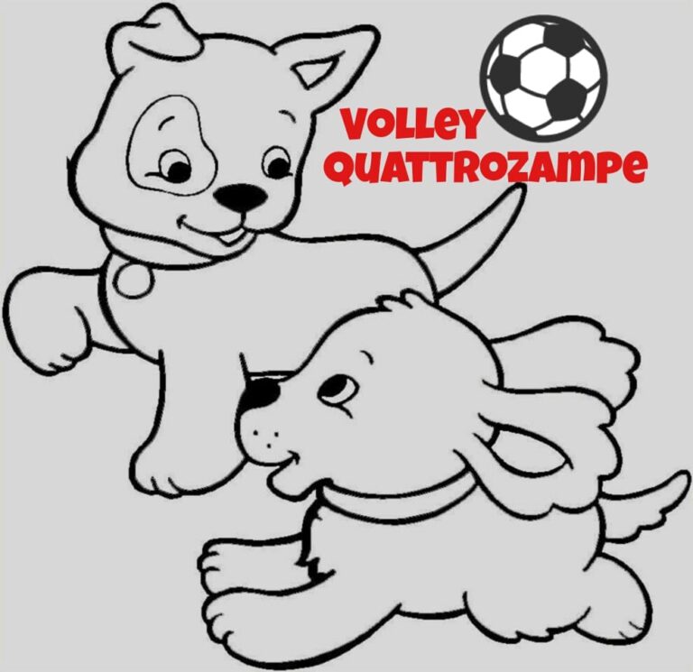 Domenica il 1ª torneo Amatoriale Misto 4 Zampe nel Cuore - Osservatorio Fasano