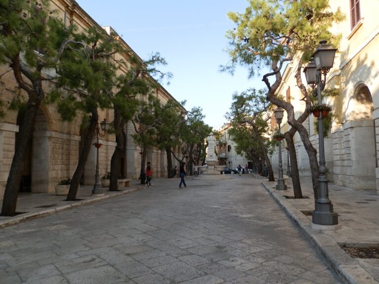 Anche a Fasano le 'Mattinate FAI d'Inverno' dedicate al mondo della scuola - Osservatorio Fasano