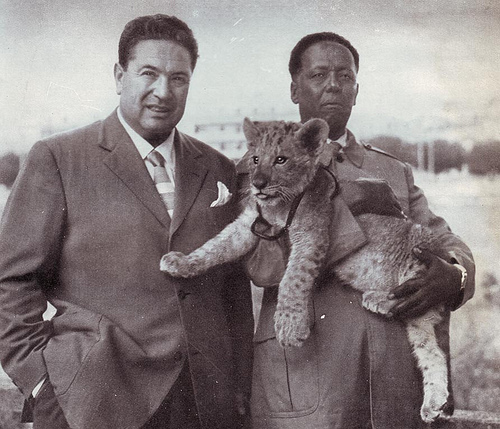 A Selva di Fasano serata in ricordo di Angelo Lombardi, ‘l’amico degli animali’ A Selva di Fasano serata in ricordo di Angelo Lombardi, 'l'amico degli animali' - Osservatorio Fasano