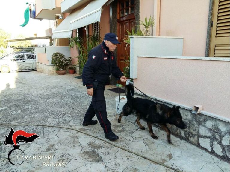Droga a fiumi nel Fasanese: arrestate due persone a Pezze di Greco - Osservatorio Fasano
