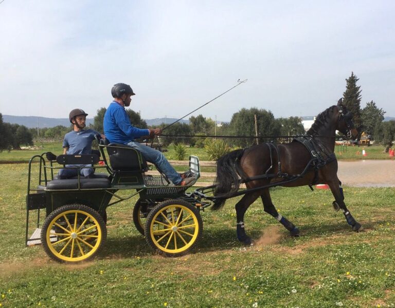 'Stanghe e stecche': a Fasano un evento unico che unisce Torneo di Polo e Derby di Attacchi - Osservatorio Fasano