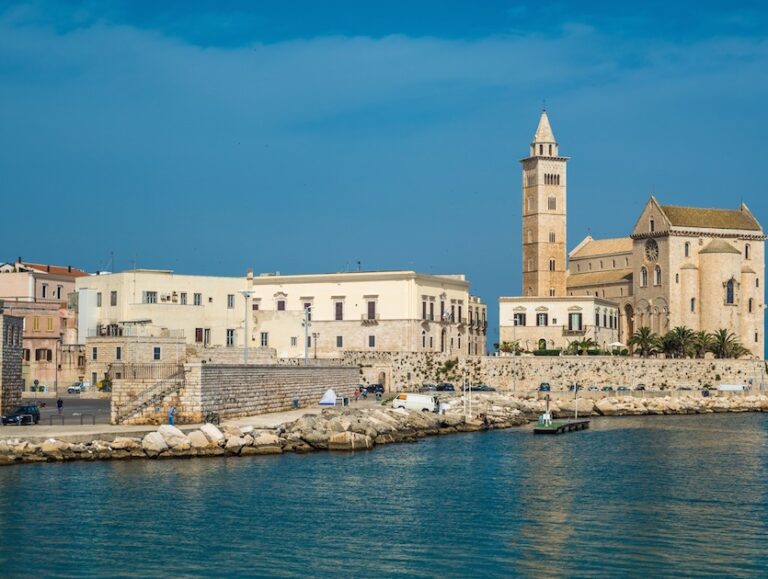 Si presenta il 19 febbraio il calendario Bari-Fasano Si presenta il 19 febbraio il calendario Bari-Fasano - Osservatorio Fasano