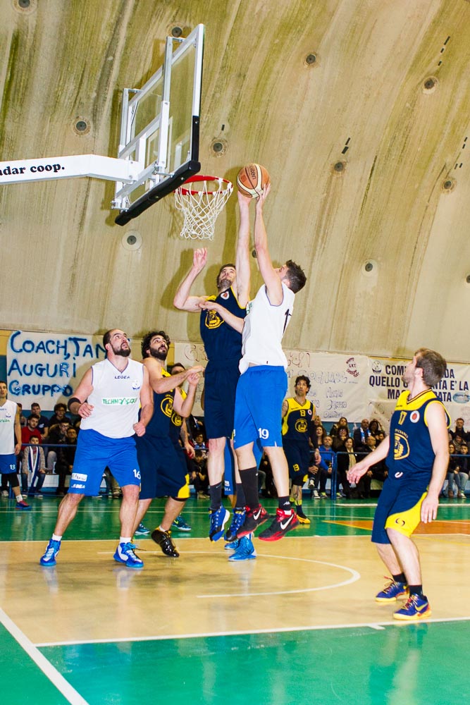 Per la Technoacque Fasano arriva l’ottava vittoria consecutiva Per la Technoacque Fasano arriva l'ottava vittoria consecutiva - Osservatorio Fasano