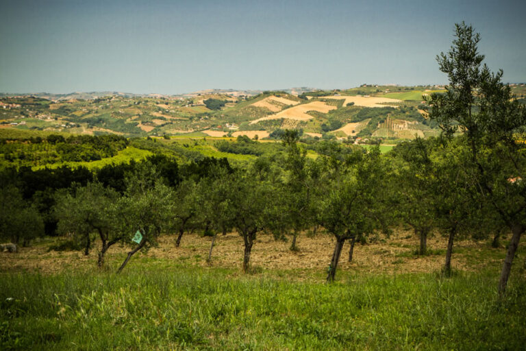 Convegno sulla biodiversità a Lama del Trappeto - Osservatorio Fasano