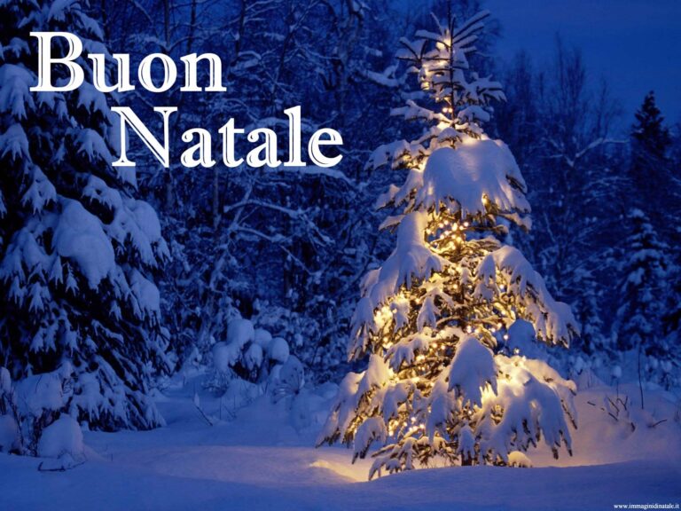 In un mondo in piena crisi che non si spenga mai il lume della speranza: buon Natale da Osservatoriooggi.it In un mondo in piena crisi che non si spenga mai il lume della speranza: buon Natale da Osservatoriooggi.it - Osservatorio Fasano