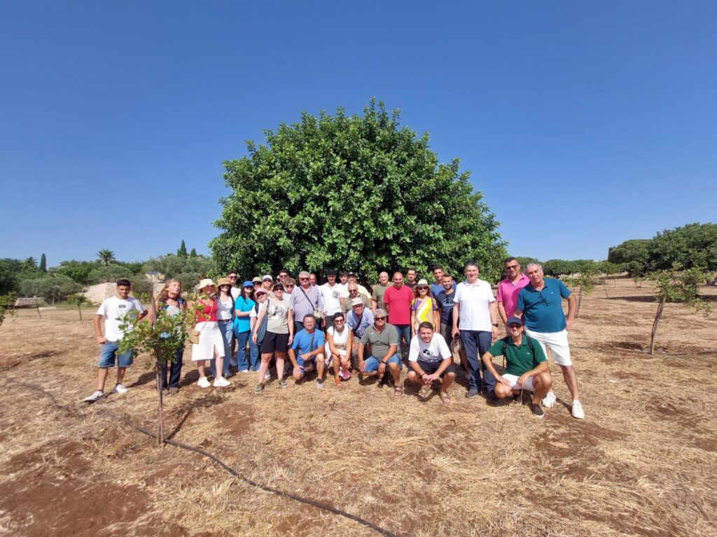 Valle d’Itria post-Xylella: un viaggio studio del GAL per conoscere colture alternative e diversificare - Osservatorio Fasano