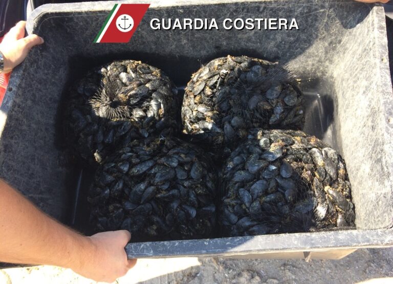Sequestrati ricci in un ristorante sulla costa fasanese Sequestrati ricci in un ristorante sulla costa fasanese - Osservatorio Fasano