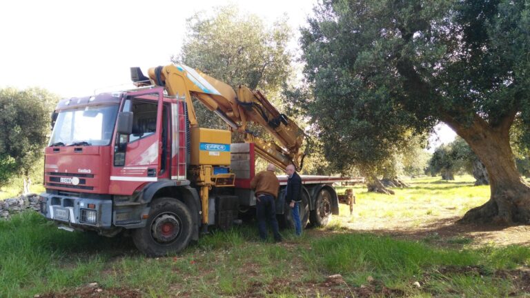 Poliziotti evitano ‘spaccata’ a Montalbano: rinvenuto camion con braccio meccanico Poliziotti evitano 'spaccata' a Montalbano: rinvenuto camion con braccio meccanico - Osservatorio Fasano