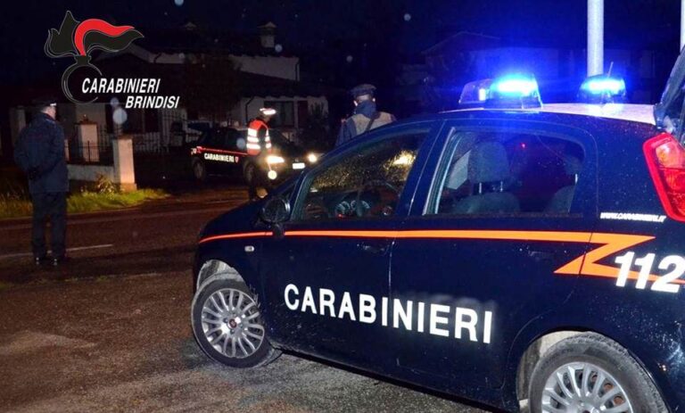 Servizio di controllo del territorio, una denuncia e una segnalazione amministrativa Servizio di controllo del territorio, una denuncia e una segnalazione amministrativa - Osservatorio Fasano