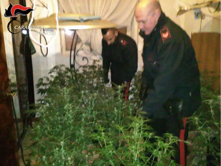 Droga, rapine e armi: maxi operazione dei carabinieri e arresti anche a Fasano IL VIDEO - Osservatorio Fasano