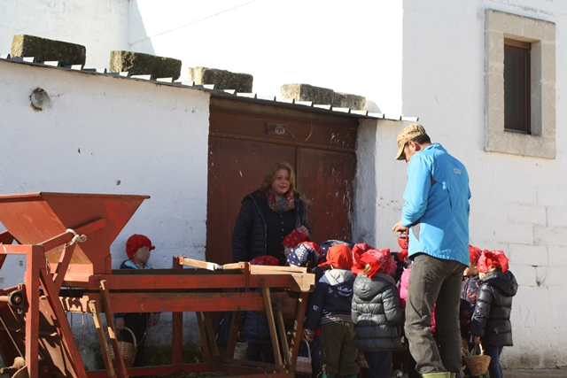 Bambini del Ciaia di Fasano alla riscoperta delle tradizioni agricole Bambini del Ciaia di Fasano alla riscoperta delle tradizioni agricole - Osservatorio Fasano