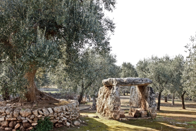 Approvato il progetto del Polo Museale Puglia con FederParchi Approvato il progetto del Polo Museale Puglia con FederParchi - Osservatorio Fasano