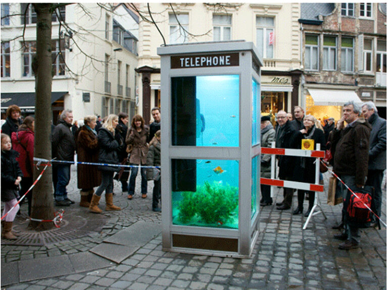 Se la cabina telefonica diventa un acquario - Osservatorio Fasano