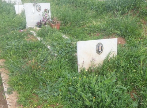 Il cimitero di Fasano pieno di erbacce: la denuncia di un cittadino Il cimitero di Fasano pieno di erbacce: la denuncia di un cittadino - Osservatorio Fasano