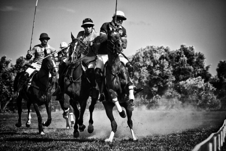 Al via oggi 'Il Polo degli Ulivi': quattro giorni dedicati al polo e alla promozione del territorio - Osservatorio Fasano