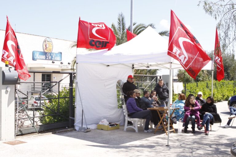 Caso Monna De'lizia: parla la proprietà - Osservatorio Fasano