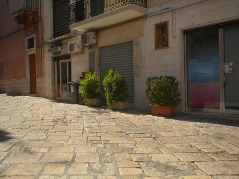 Fioriere abusive: scattano i controlli della Polizia municipale - Osservatorio Fasano