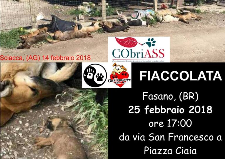 Fiaccolata per le vittime a quattro zampe a Fasano Fiaccolata per le vittime a quattro zampe a Fasano - Osservatorio Fasano