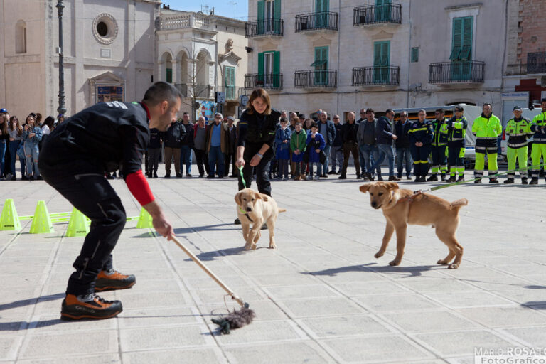 Quattro nuovi cuccioli da addestrare per 'Le orme di Askan' - Osservatorio Fasano