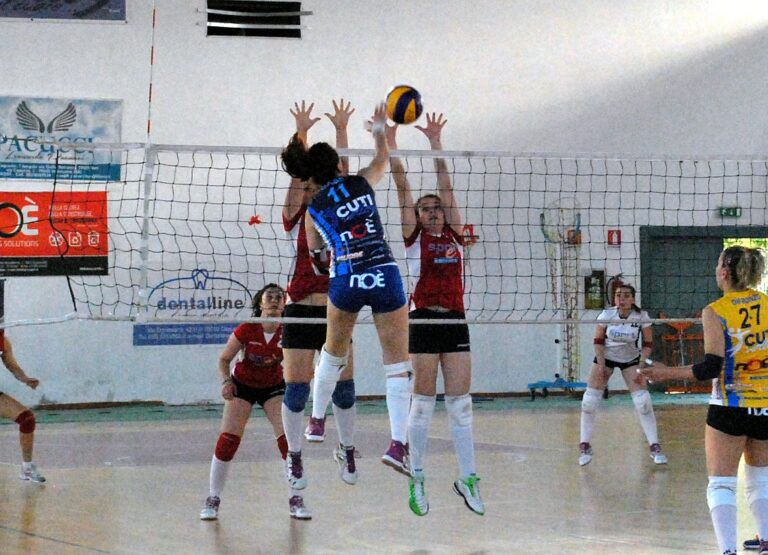 Tre nuove giocatrici per il Volley Club Il Podio Fasano Tre nuove giocatrici per il Volley Club Il Podio Fasano - Osservatorio Fasano
