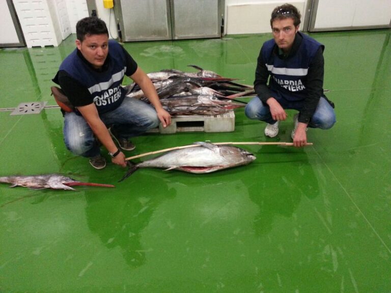 Operazione della Guardia costiera: sequestrato tonno rosso a Savelletri - Osservatorio Fasano