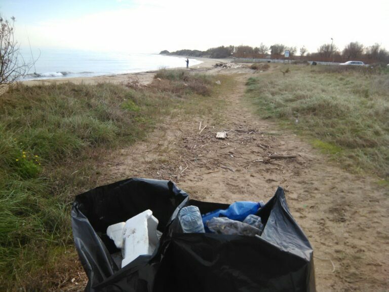 Pulizia straordinaria dai rifiuti del Parco regionale delle Dune Costiere - Osservatorio Fasano